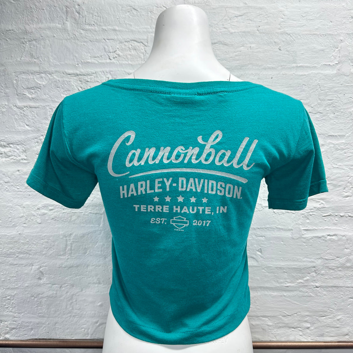 Reworked Harley Davidson Teal Cropped Baby Tee