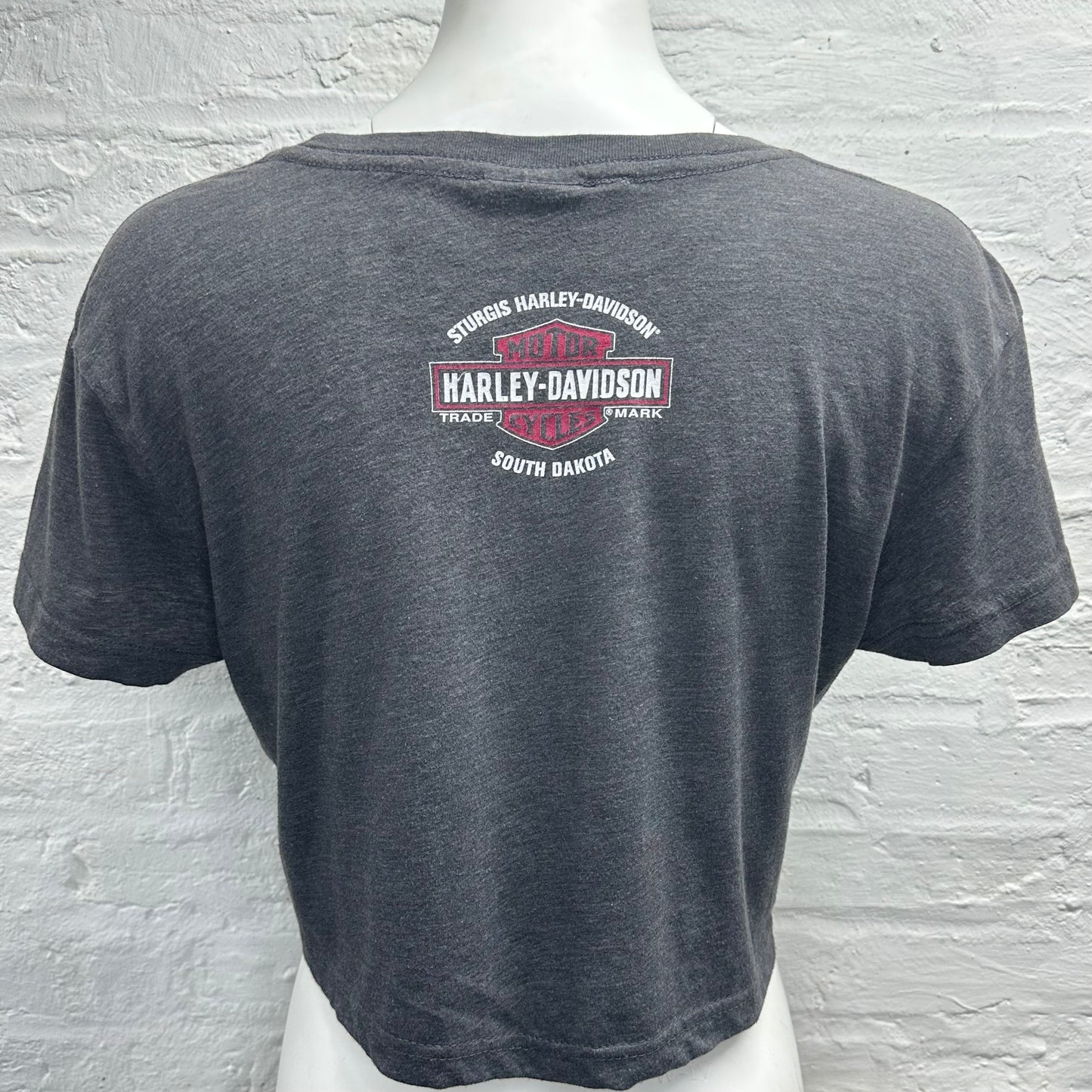 Reworked Harley Davidson American Flag Number 1 Cropped Baby Tee