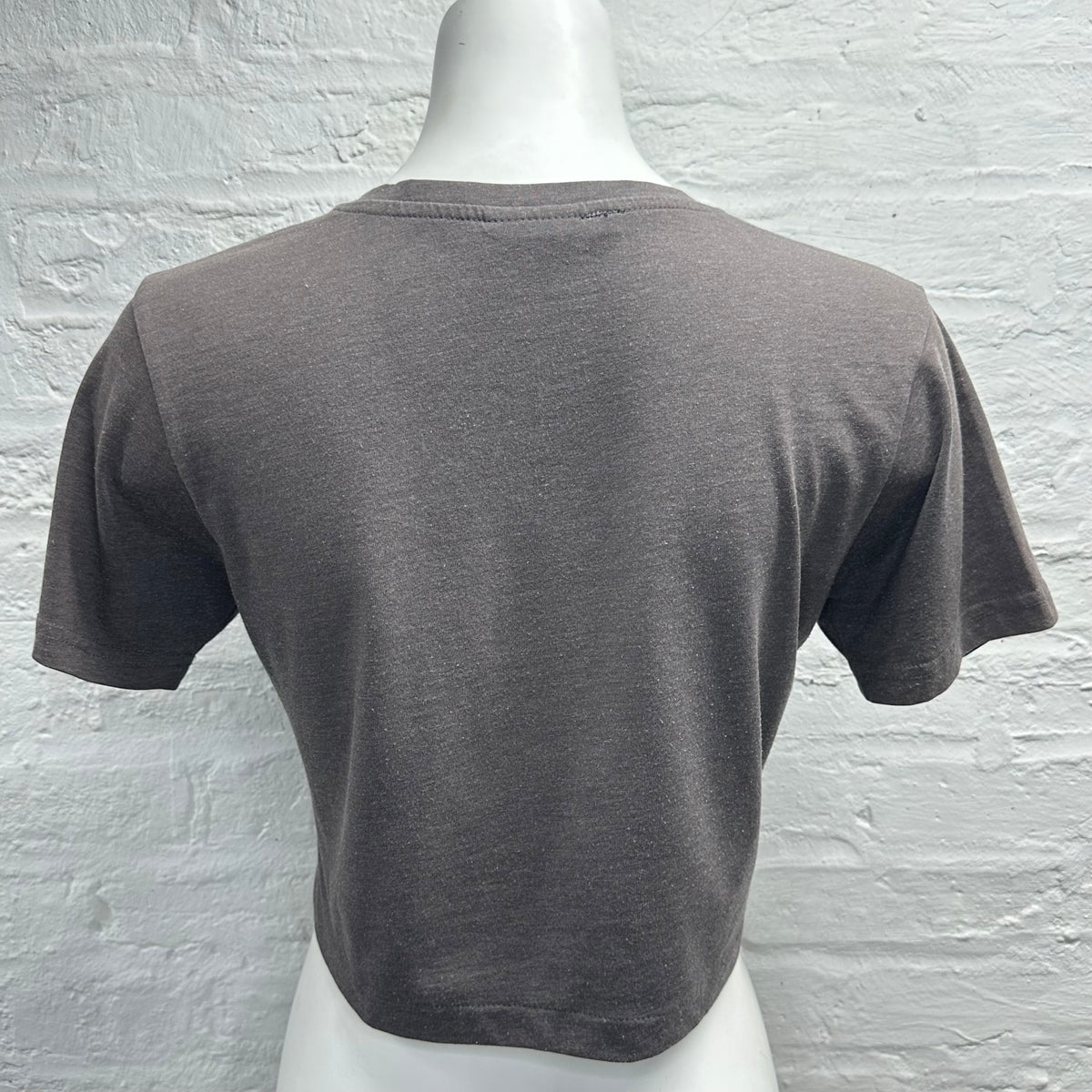 Reworked Harley Davidson Grey Skull Cropped Baby Tee