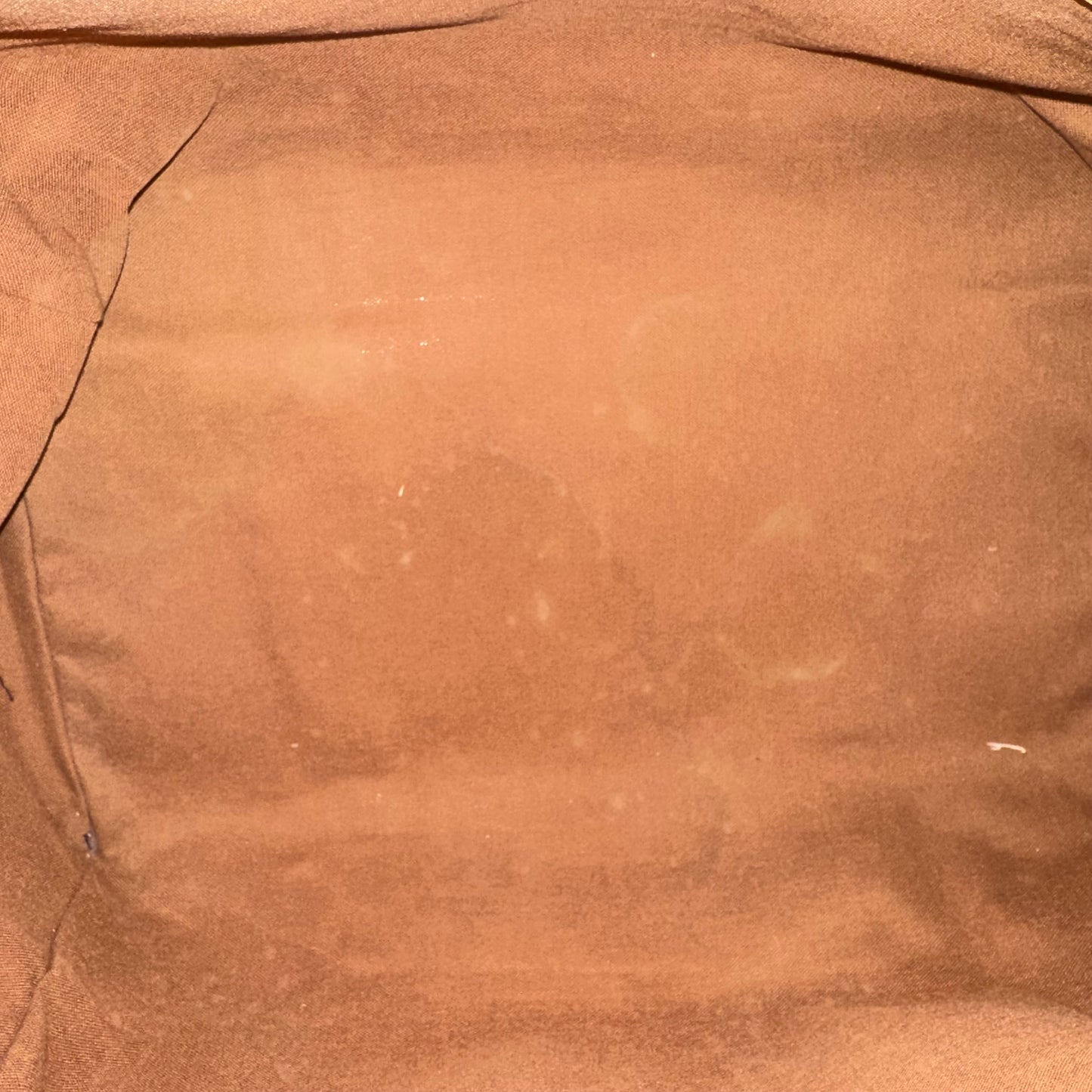 Vintage Louis Vuitton 2008 Carryall Travel Bag